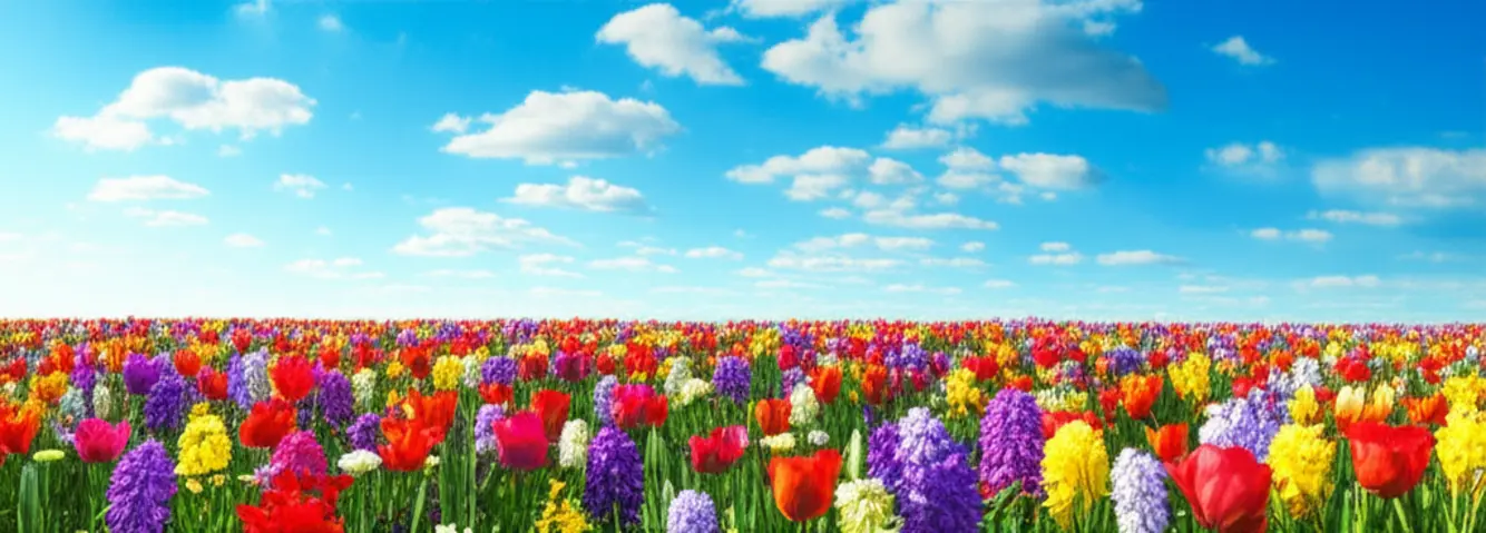 7 Passos Para Cultivar uma Mentalidade de Abundância e Transformar Sua Vida 8 Paisagem vibrante com flores em flor e céu azul, simbolizando crescimento e abundância.