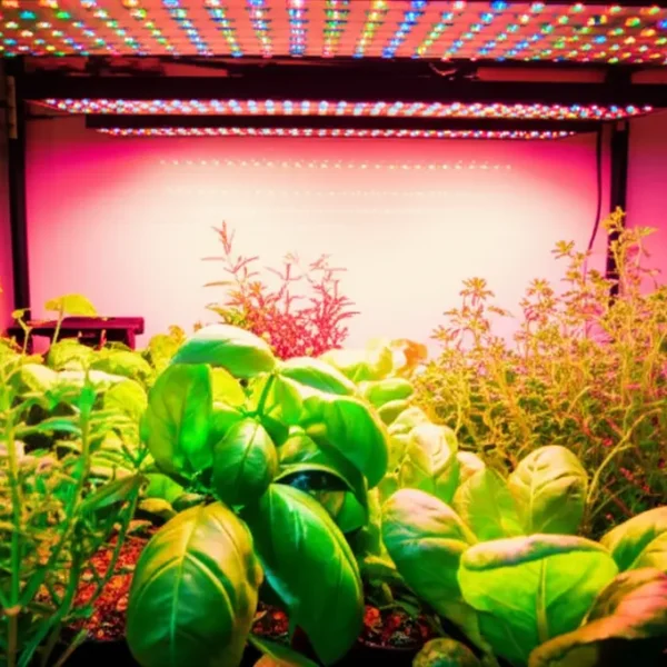 Horta indoor com ervas e vegetais sob luz artificial.