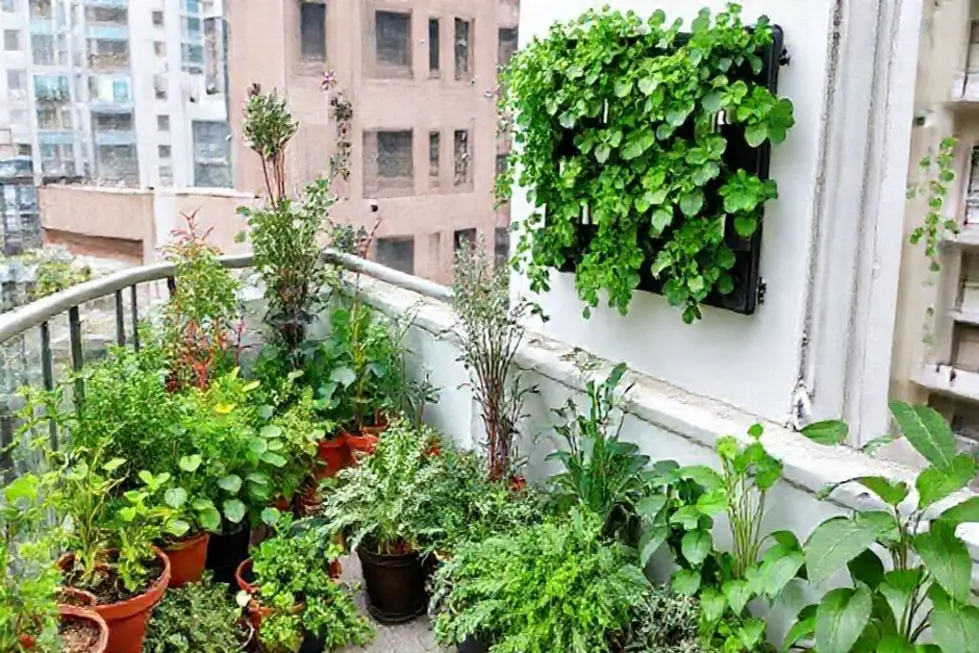 7 Dicas Incríveis para Cultivar sua Horta em Casa, Mesmo em Espaços Pequenos 10 Escolhendo o Espaço Ideal para Sua Horta