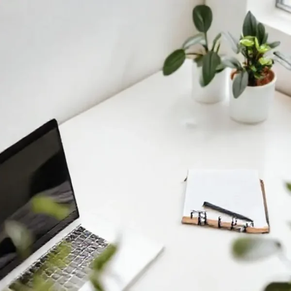 Ambiente de trabalho sereno com laptop e plantas.