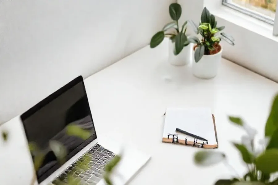 7 Estratégias Minimalistas para Organizar suas Finanças e Simplificar a Vida 16 Ambiente de trabalho sereno com laptop e plantas.
