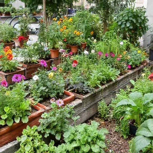 Urban garden blooming with flowers and vegetables in a small space
