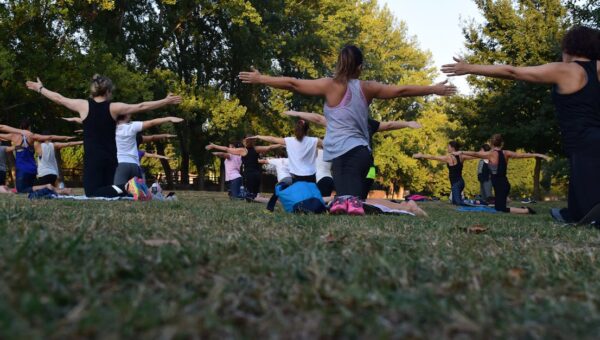 Group of adults practicing yoga outdoors in a park surrounded by trees.