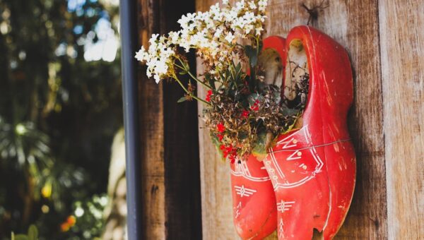 Creative floral arrangement using wooden shoes as planters on a rustic wall.
