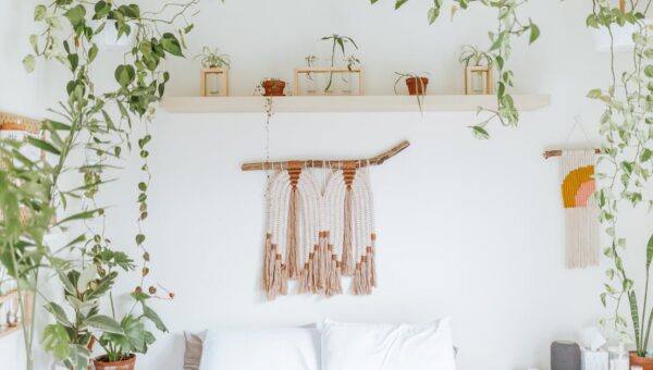 A serene bedroom adorned with hanging plants, minimalist decor, and a cozy ambiance.