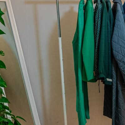 A clothes rack with colorful garments beside a mirror and lush ivy plant indoors.
