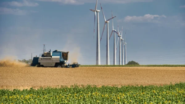 banho de ervas revitalizante guia pratico para renovar 1773880225