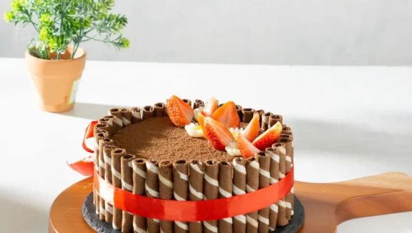 bolo fitness de chocolate sem culpa receita light e facil 1773419462