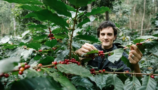 mini jardins em xicaras vintage decore e reaproveite loucas 1773880857