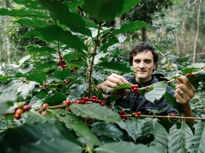 mini jardins em xicaras vintage decore e reaproveite loucas 1773880857