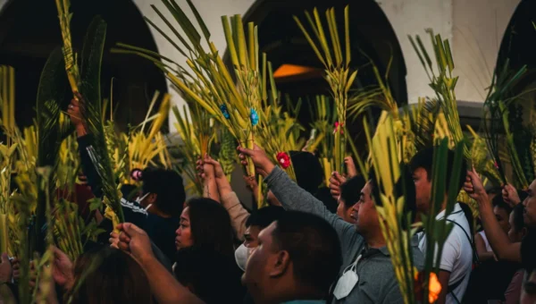 ritual de domingo organize a semana com mais energia 1773881642