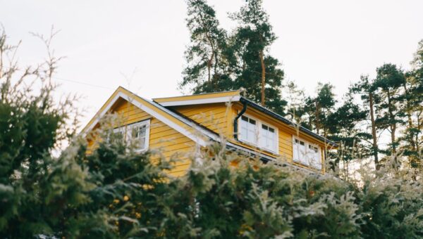 A picturesque yellow house surrounded by lush green trees, ideal for country living.