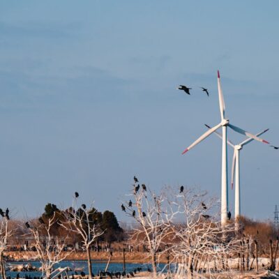 Scenic view of wind turbines with birds perched on trees and flying in a tranquil landscape.