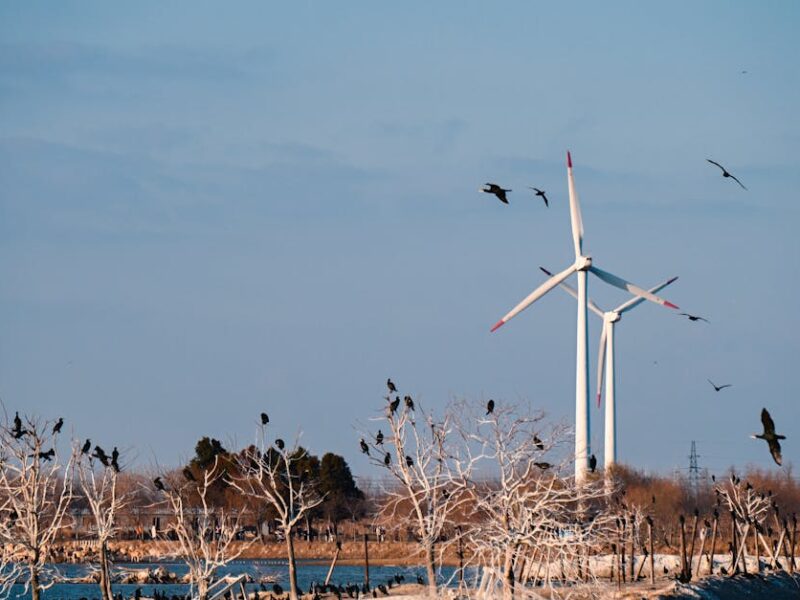 Scenic view of wind turbines with birds perched on trees and flying in a tranquil landscape.