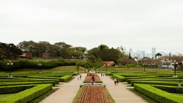 Explore the lush greenery and beautiful landscape of a botanical garden in Curitiba with city skyline in the background.