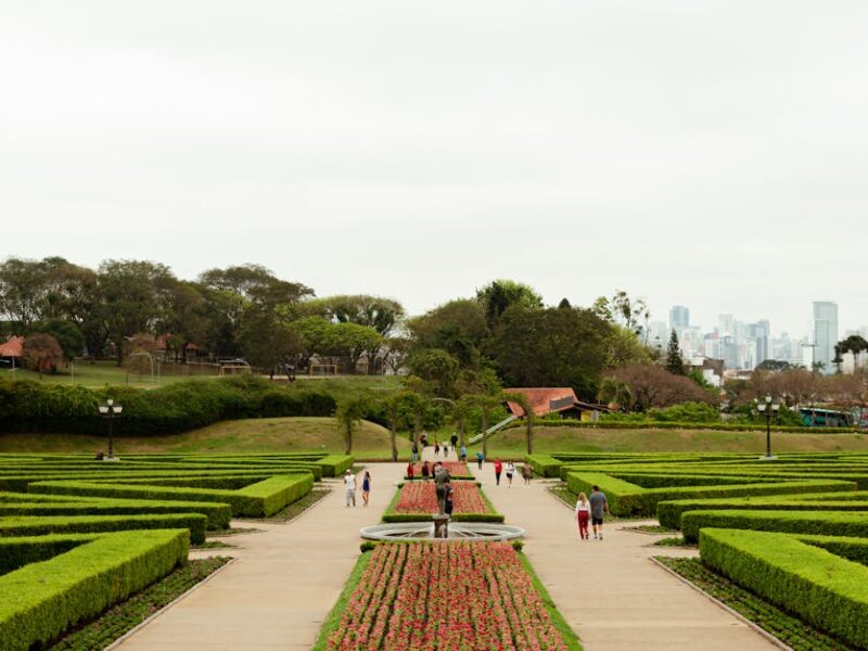 Explore the lush greenery and beautiful landscape of a botanical garden in Curitiba with city skyline in the background.