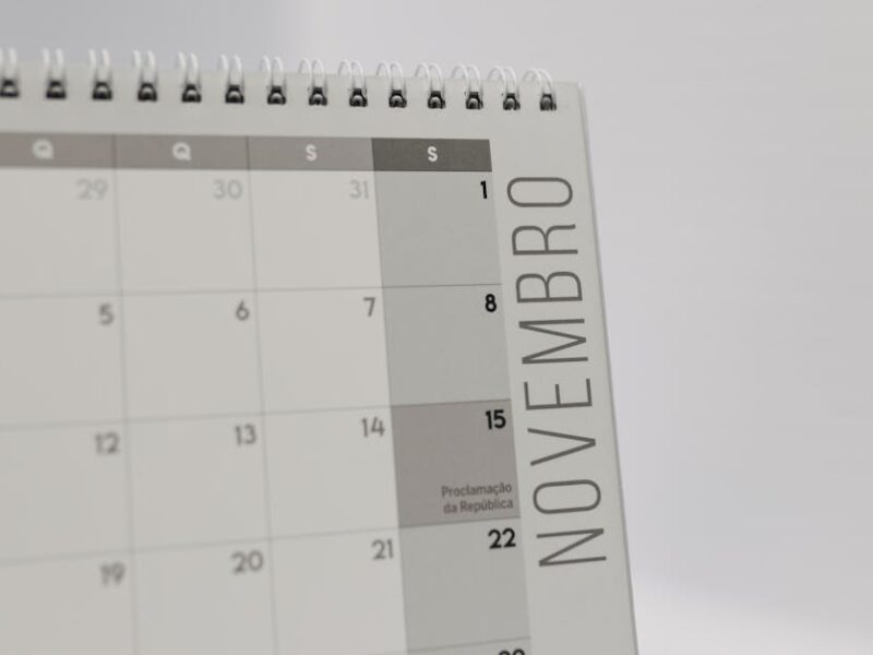 Close-up image of a November calendar page, featuring a minimalist design.