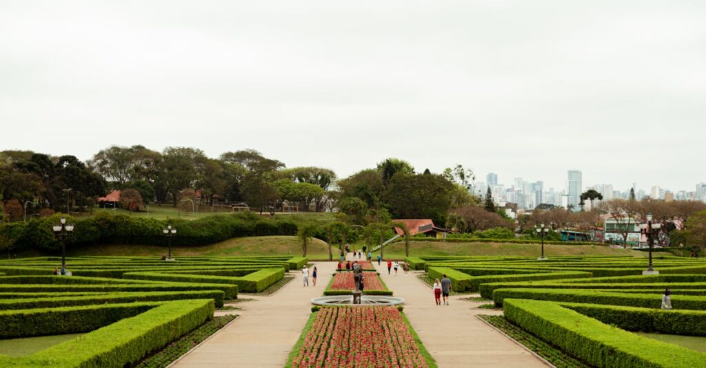 Explore the lush greenery and beautiful landscape of a botanical garden in Curitiba with city skyline in the background.