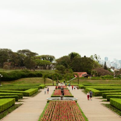 Explore the lush greenery and beautiful landscape of a botanical garden in Curitiba with city skyline in the background.