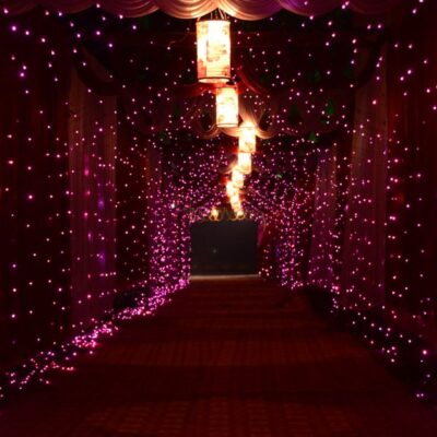 A mesmerizing corridor lit with vibrant purple lights creating a magical ambiance indoors.