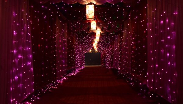 A mesmerizing corridor lit with vibrant purple lights creating a magical ambiance indoors.