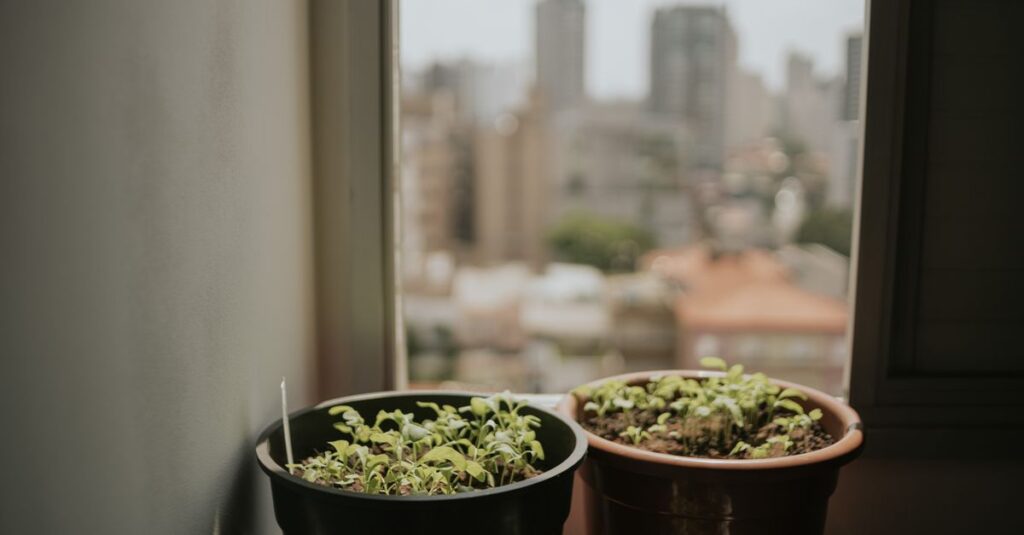 Potted plants on a windowsill with a blurred city skyline in the background, evoking urban tranquility.