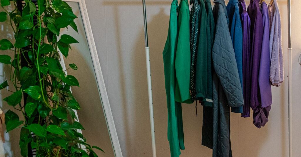 A clothes rack with colorful garments beside a mirror and lush ivy plant indoors.