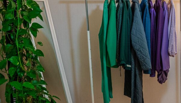 A clothes rack with colorful garments beside a mirror and lush ivy plant indoors.