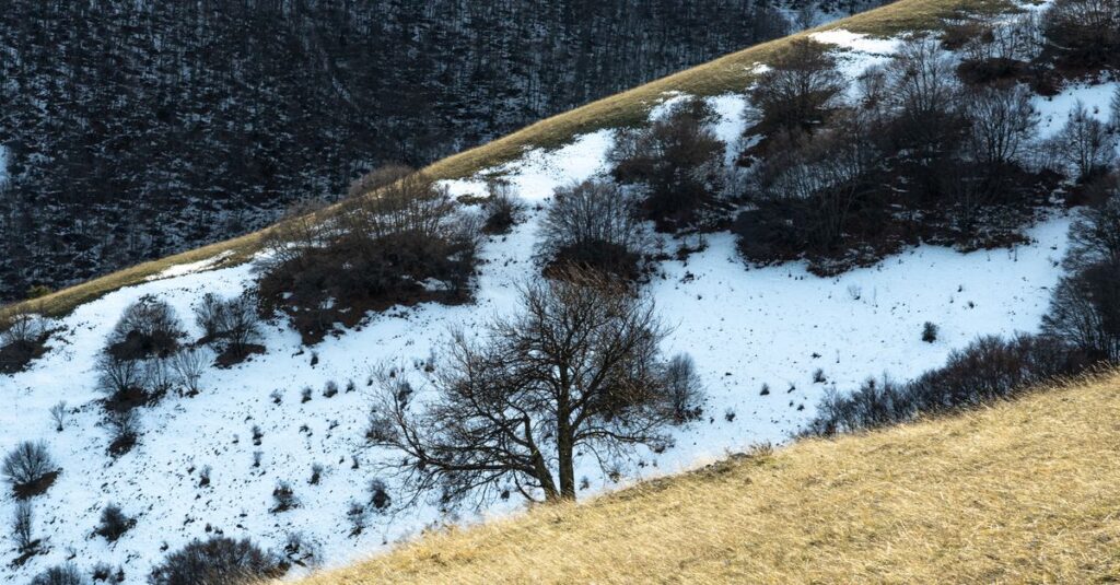 Como a Ansiedade Pode Ser Transformada em Força Pessoal 2 Scenic winter view of a snowy hillside at Forca Canapine, Marche, Italy.