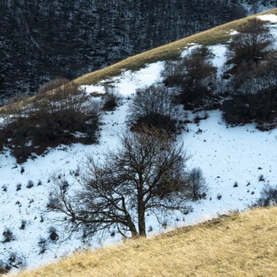 Scenic winter view of a snowy hillside at Forca Canapine, Marche, Italy.