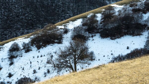 Scenic winter view of a snowy hillside at Forca Canapine, Marche, Italy.