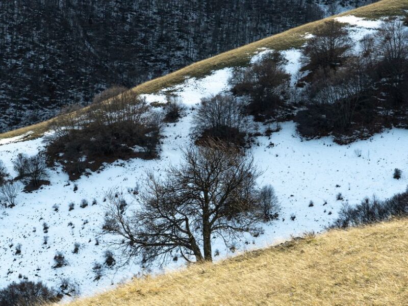 Scenic winter view of a snowy hillside at Forca Canapine, Marche, Italy.